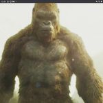 Patrick Coogan - @patr.ickco9272 - Instagram