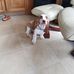 Patrick Coogan - Facebook