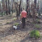 Patrick Coogan - @farm_life_newbie - Instagram