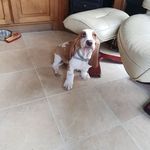 Patrick Coogan - @patrick.coogan.5209 - Instagram