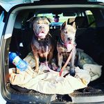 Patrick Cooper - @patrickjordan12 - Instagram