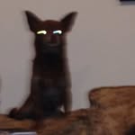 Patrickcoppola - @_patrick.coppola_ - Instagram