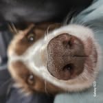 Patrick corcoran - @patrickcorcoran615 - Instagram