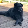 Patrick Corcoran - @patrickcorcoran20 - TikTok
