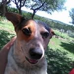 Patrick Corder - @patrickcorder17 - Instagram