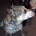 Patrick Corder - Facebook
