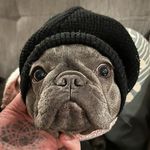 Patrick Cornolo - @patrickcornolo - Instagram