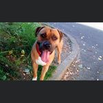 Patrickcorsin - @patrickcorsin2 - Instagram