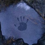 Patrick Couch - @couchpatrick - Instagram
