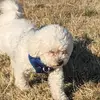 Patrick Cutright - @patrick.cutright - TikTok