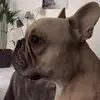 patrickcrammausse - @patrickcrammausse - TikTok