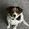 Patrick McRee - @patrick.mcree - TikTok