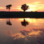 Patrick Crouch - @okstatepc - Instagram