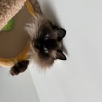 patrick cui - @patrick_t_c - Instagram