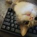 Patrick Custer - Facebook