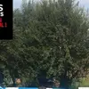 patrickcugno - @patrickcugno - TikTok