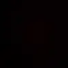 Patrick D'amico - @patrick.damico - TikTok