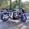 Patrick D'Amore - @patrick.damore - TikTok