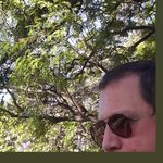 Patrick D'Andrea - @patrick_ukdriver - Instagram