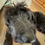 Patrick D’Angelo - @patrick_dangelo1602 - Instagram
