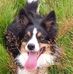Pat Dangerfield - Facebook