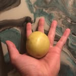 Patrick Danielson - @the_rogue_potato - Instagram