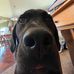 Patrick Danielson - Facebook
