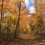 Patrick Daoust - @patrick.daoust.71 - Instagram