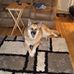 Patrick Davenport - Facebook