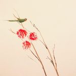 Patrick David - @patrick_____david - Instagram