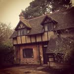 @patrick_daviesr - Instagram