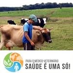 Patrick Davila - @patrickddavila - Instagram