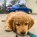 Patrick Davis - @is_blue_subaru - Instagram