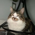 Patrick - @patrick.deangelis - Instagram