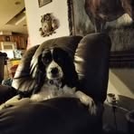Patrick Dearth - Facebook