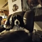 Patrick Dearth - @patrickdearth - Instagram