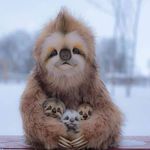 Laura Patrick Deascentis - @patrickdeascentis - Instagram
