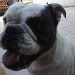 Patrick Debrock - @patrick.debrock.73 - Instagram