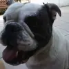 patrickdebrock5 - @patrickdebrock5 - TikTok