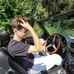 Patrick Dec - Facebook