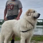 Patrick Deck - @bomberli77 - Instagram