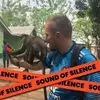 patrickdeconinck9 - @patrickdeconinck9 - TikTok