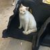 Patrick Decourcy - Facebook