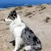 Patrick degrave - @pat33160 - TikTok