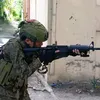 Mr. Deguzman - @patrickdeguzman123 - TikTok
