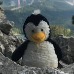 Patrick der Delphin - @patrickderdelphin - Instagram