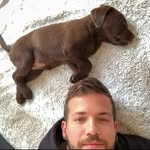 Patrick Dennis - @patrick_dennis65 - Instagram