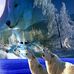 Patrick De Puydt - Facebook