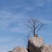 Patrick Depuydt - Facebook