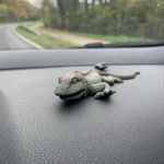 @patrick_derbeste - Instagram
